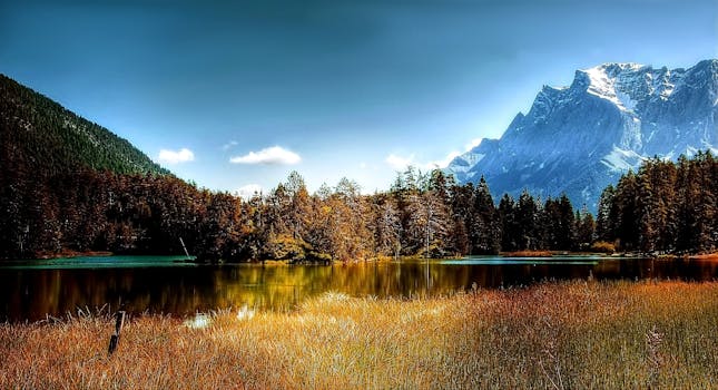秋天的森林和晴朗天空下的雪峰环绕着风景如画的高山湖泊