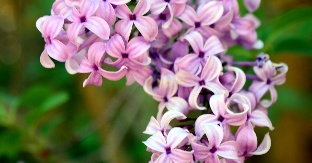 sample-blog-title-placeholder-2