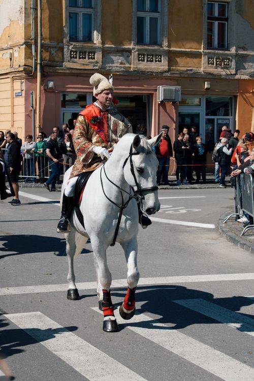 Free A historical parade in Brașov, Romania, showcasing traditional attire and white horse during a sunny day. Stock Photo