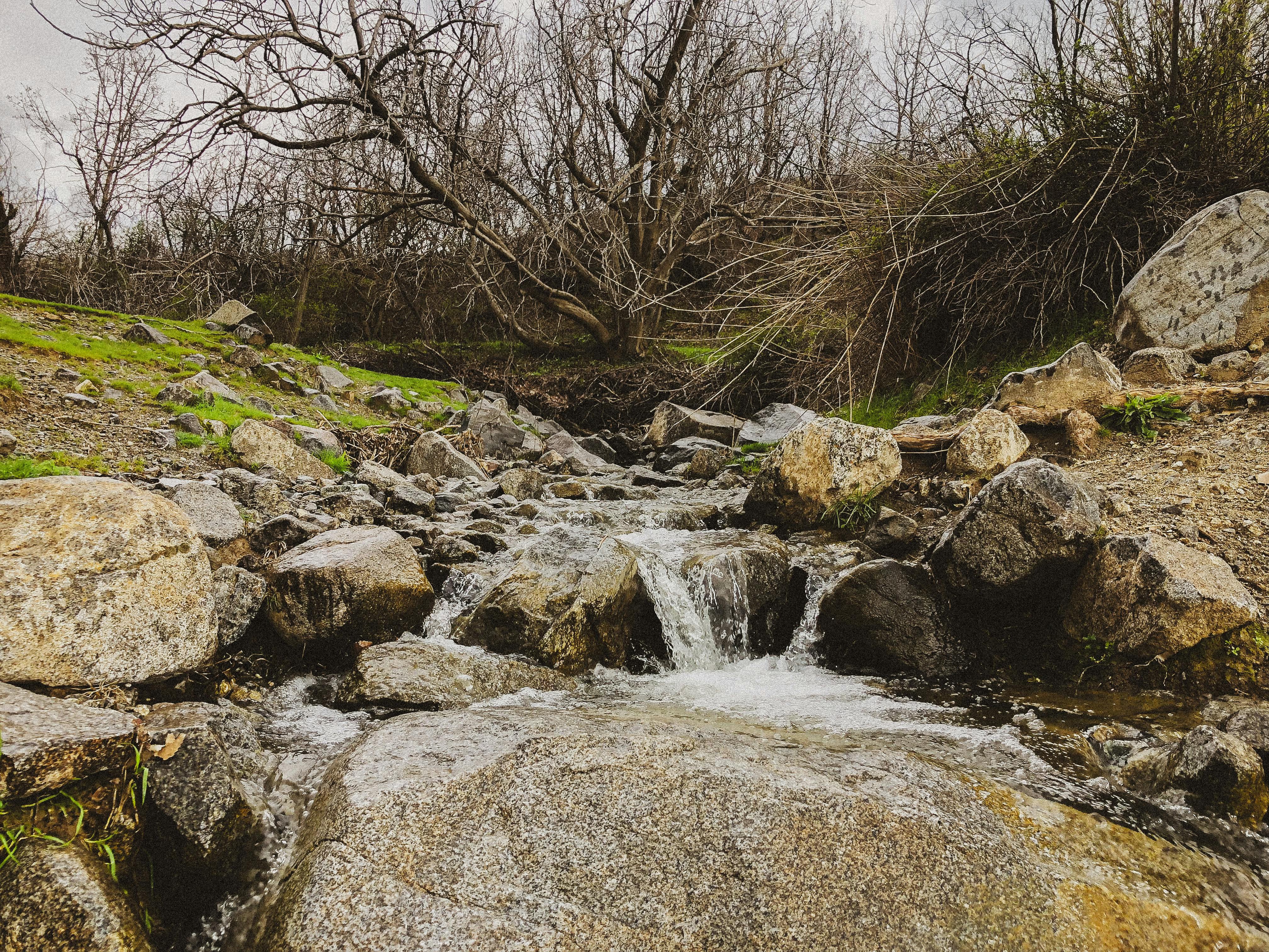 New Pajaro River Watershed Plan targets climate resilience across four counties. — Photo by 𝐬𝐡𝐚𝐧𝐚𝐳  ♡ on Pexels