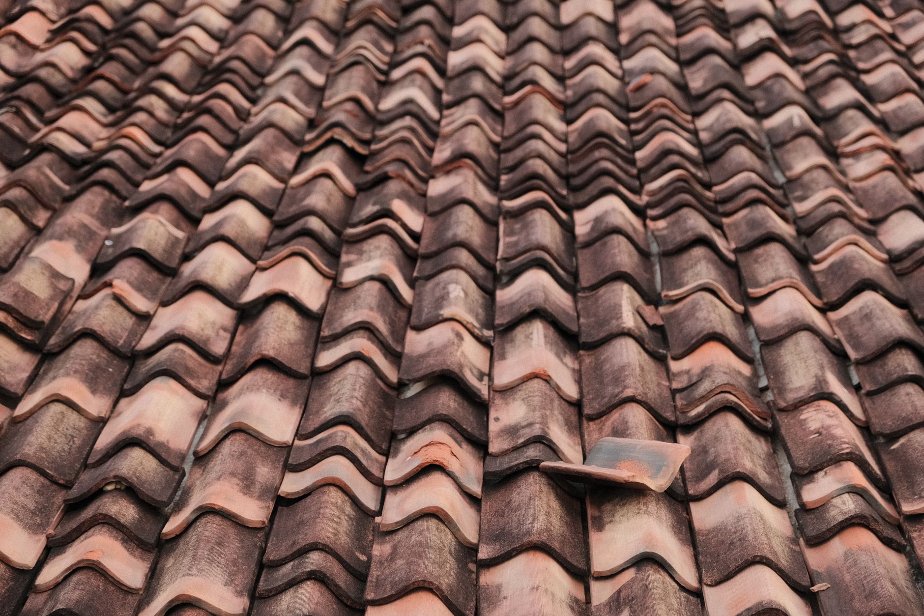 detailed view of terracotta roof tiles in a repeating overlapping pattern