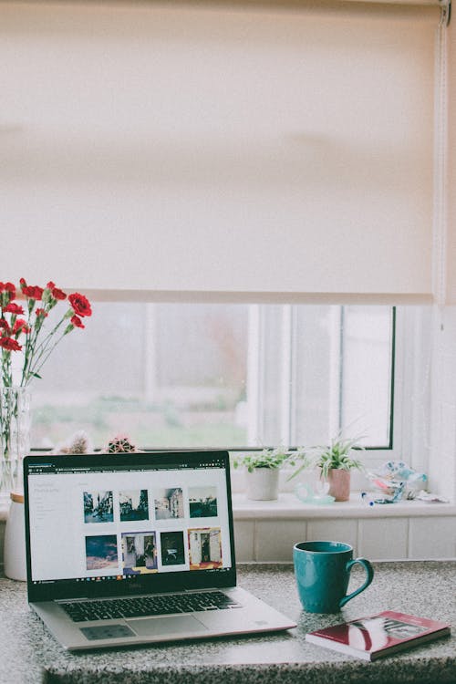 Free Red Flowers in Vase Beside Laptop Stock Photo