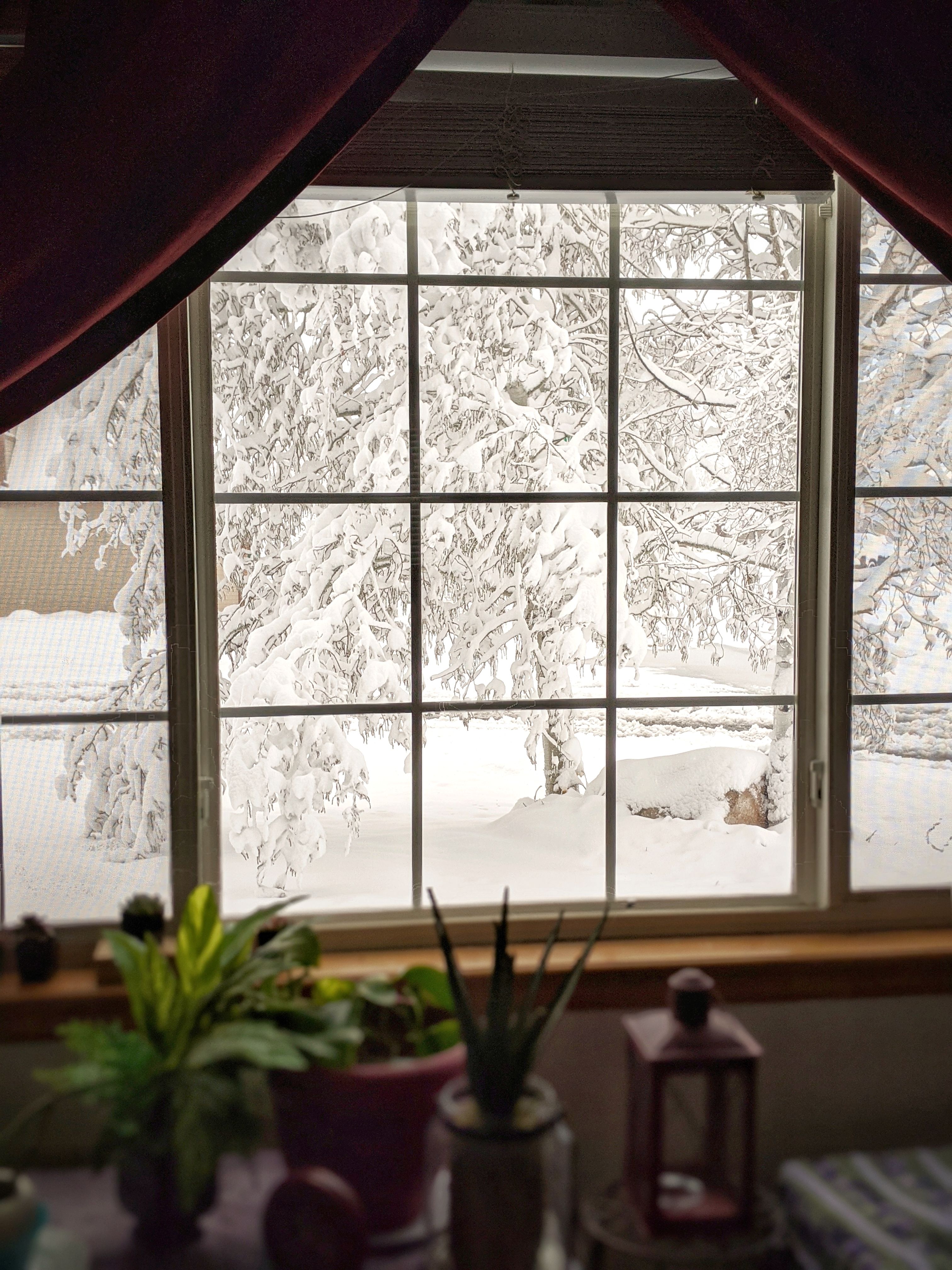 Cozy Winter View Through Frosted Window · Free Stock Photo