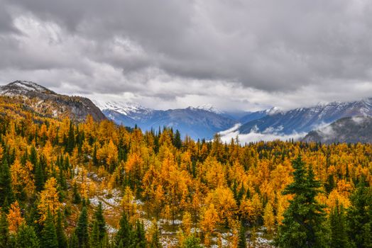 Stunning view of autumn foliage and distant snowy peaks in Banff National Park.