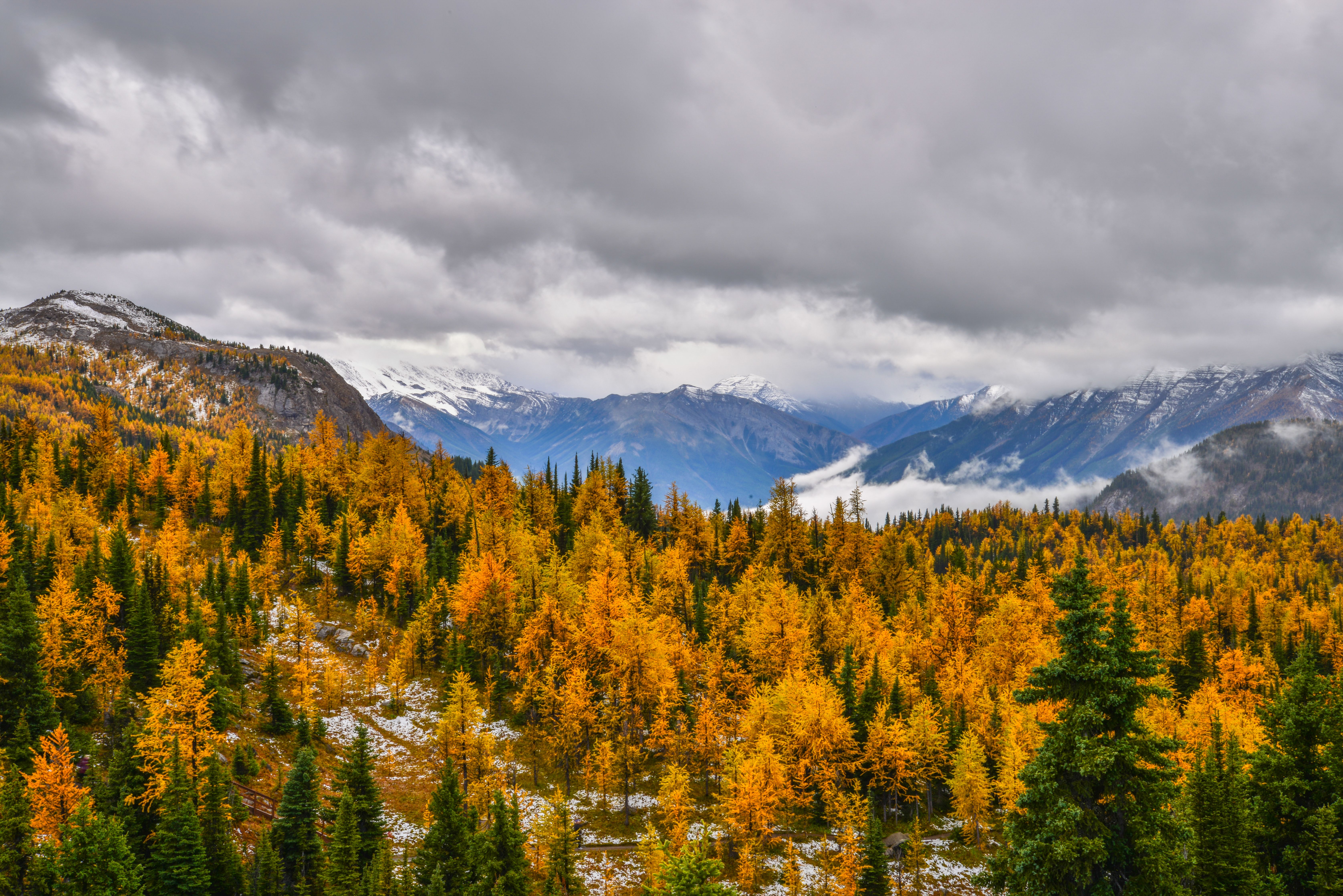Autumn Colors in Banff National Park, Canada · Free Stock Photo