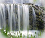 瀑布流过长满青苔的岩石，绿树成荫，风景优美，完美描绘了宁静的大自然