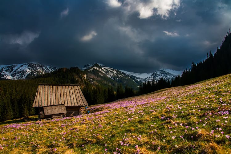 Brown House Near Mountain