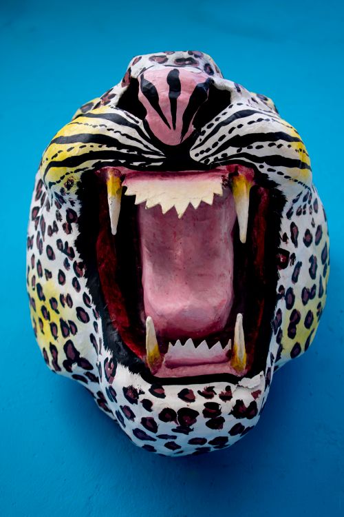 Free Colorful leopard mask with open mouth on a blue background, showcasing its sharp teeth. Stock Photo