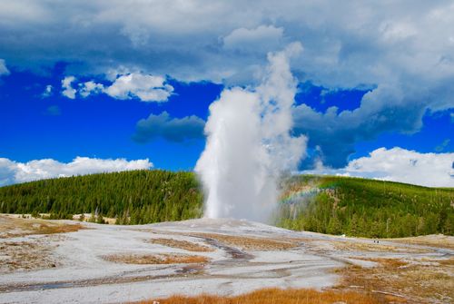 Free Breathtaking view of a geyser eruption with blue skies and lush greenery in Yellowstone National Park. Stock Photo
