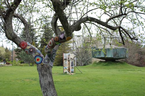 Free Vivid yarn art on a tree in a bustling Ankara park during spring. Stock Photo