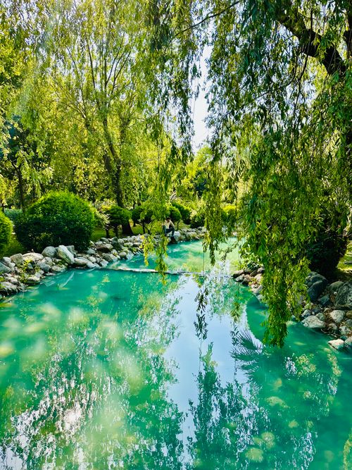 Free Tranquil park scene featuring a reflective pond surrounded by lush greenery and trees. Stock Photo