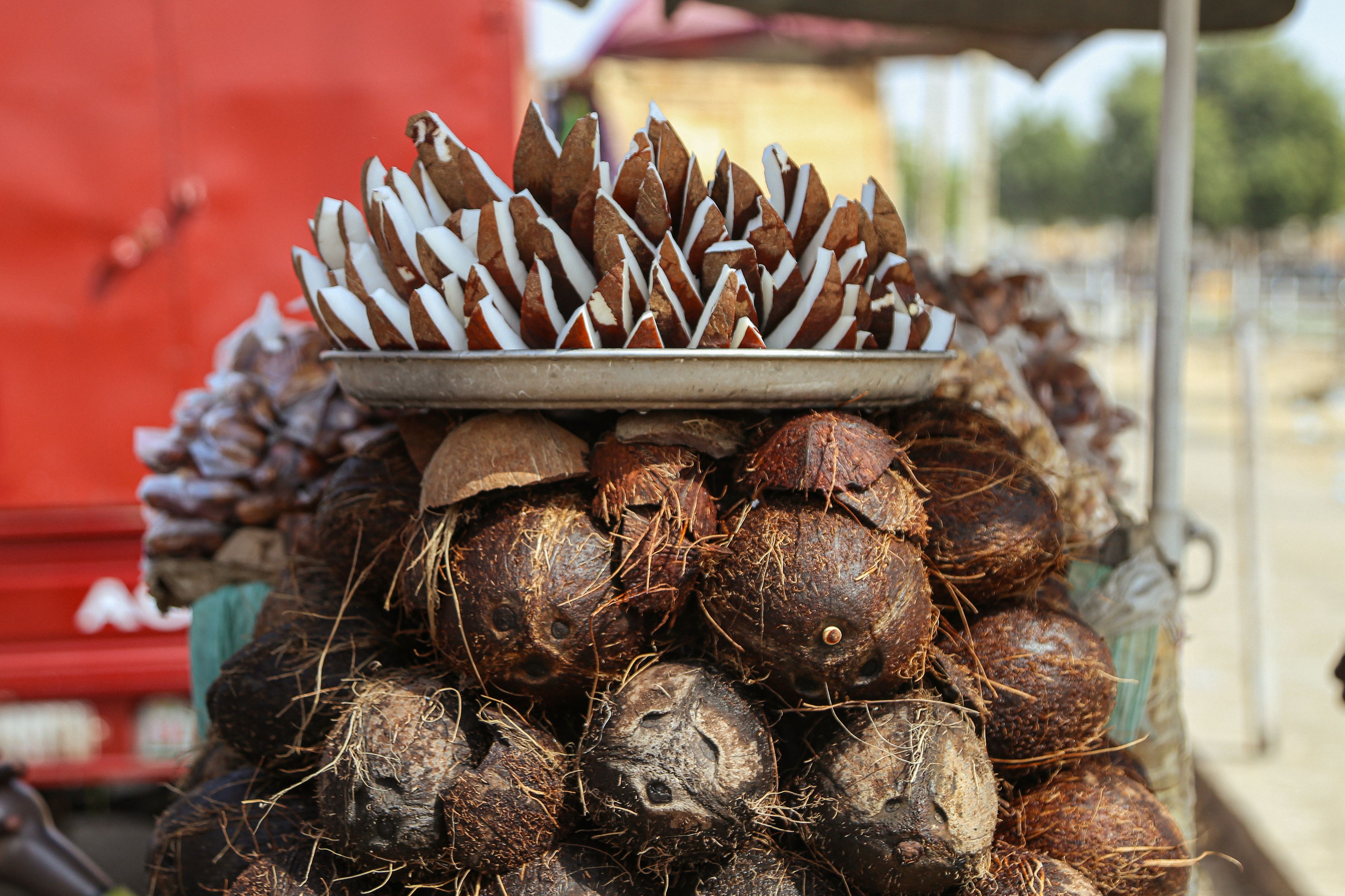 Piled Coconuts with Sliced Coconut Display · Free Stock Photo
