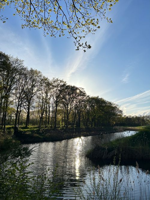 Free A serene river scene in Dutch countryside at sunset, capturing spring's essence with lush greenery. Stock Photo