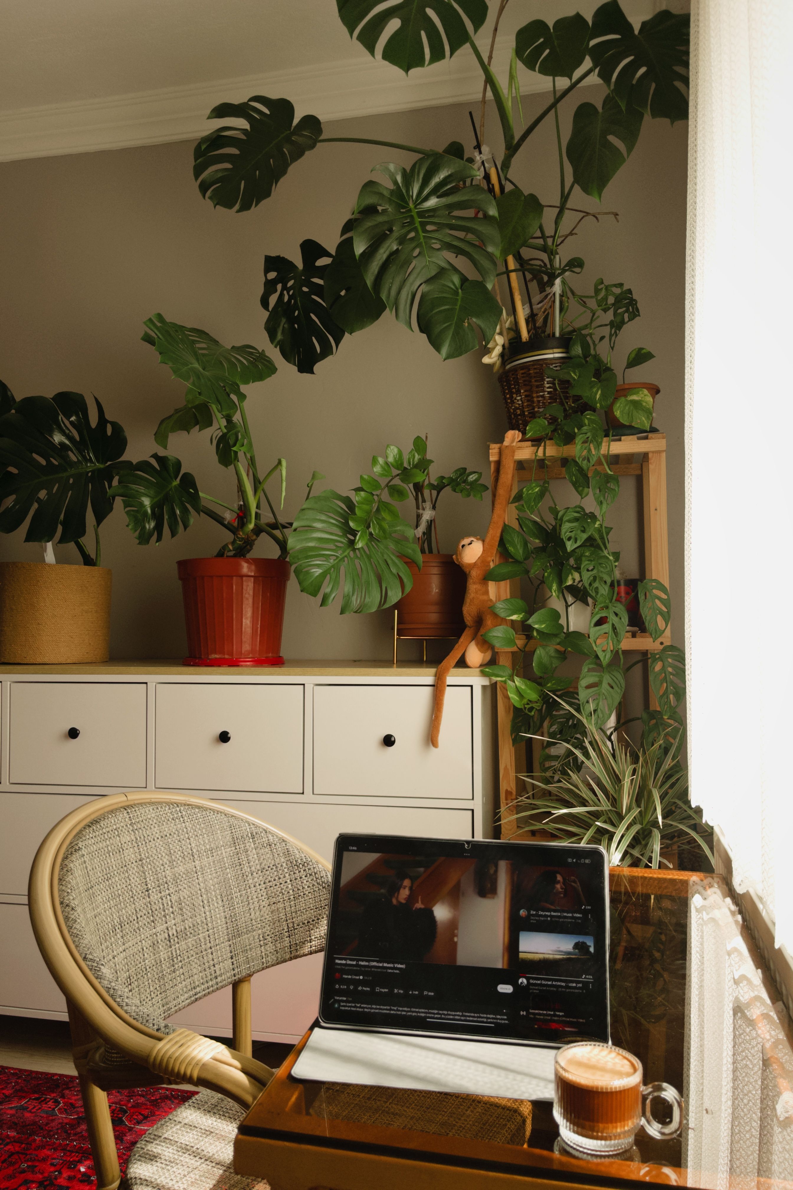 A peaceful home workspace featuring a laptop, coffee, and vibrant indoor plants.