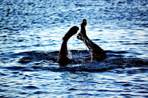 Person Swimming on Body of Water