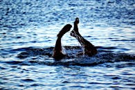 海里，一个人精力充沛地游泳，溅起水花