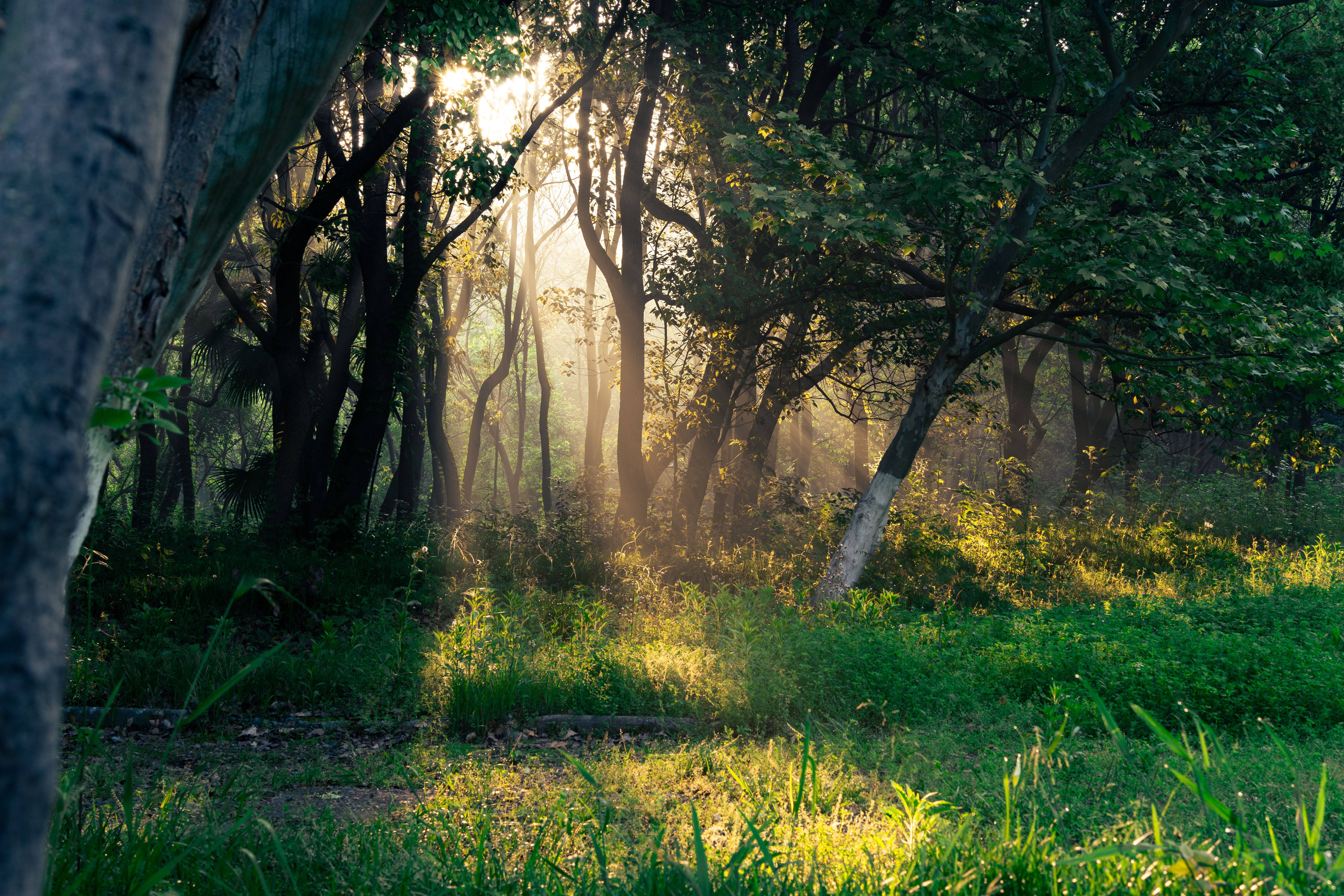 environmental health nature