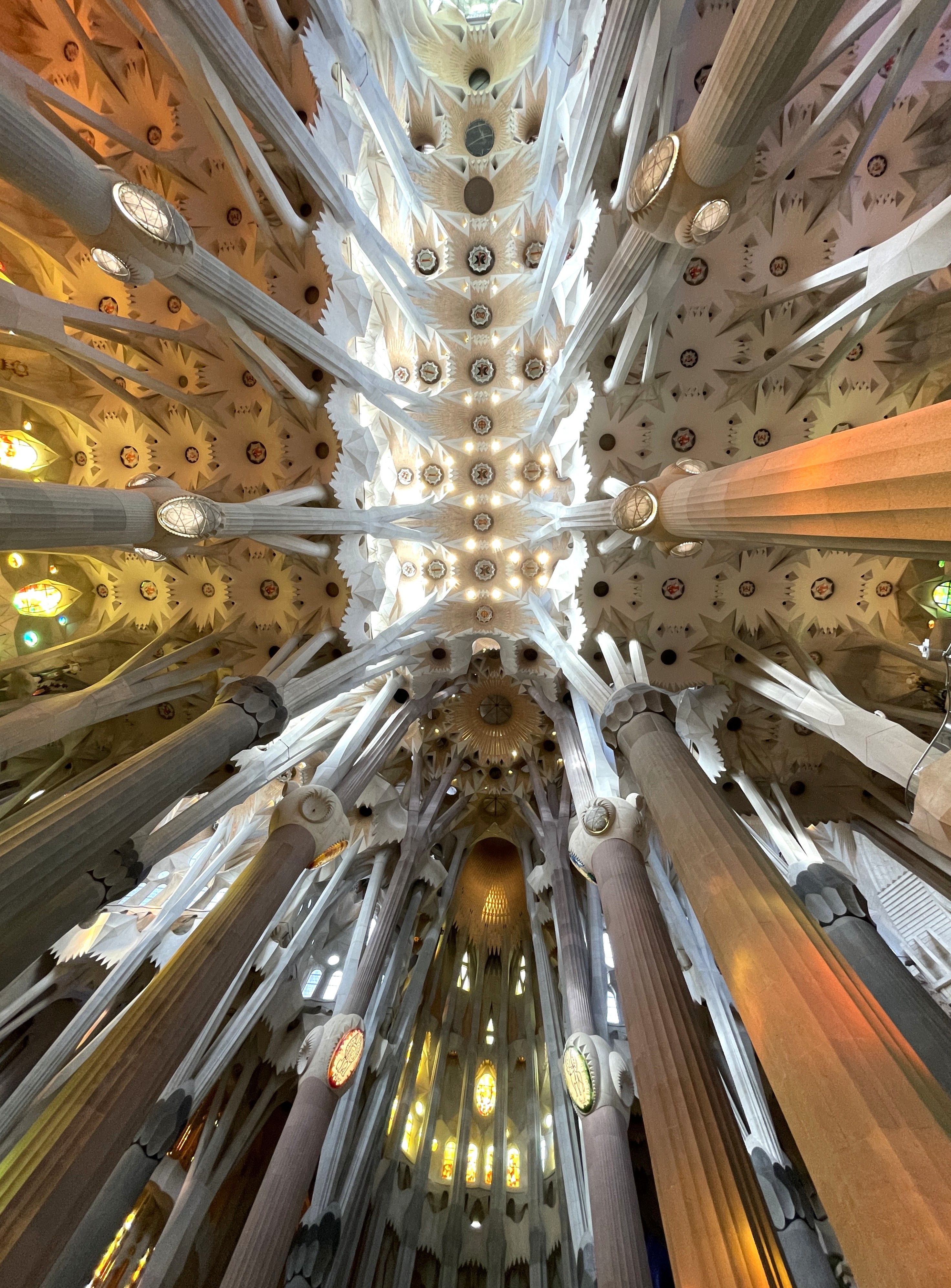Ceiling in the Sagrada Família in Barcelona, Spain · Free Stock Photo