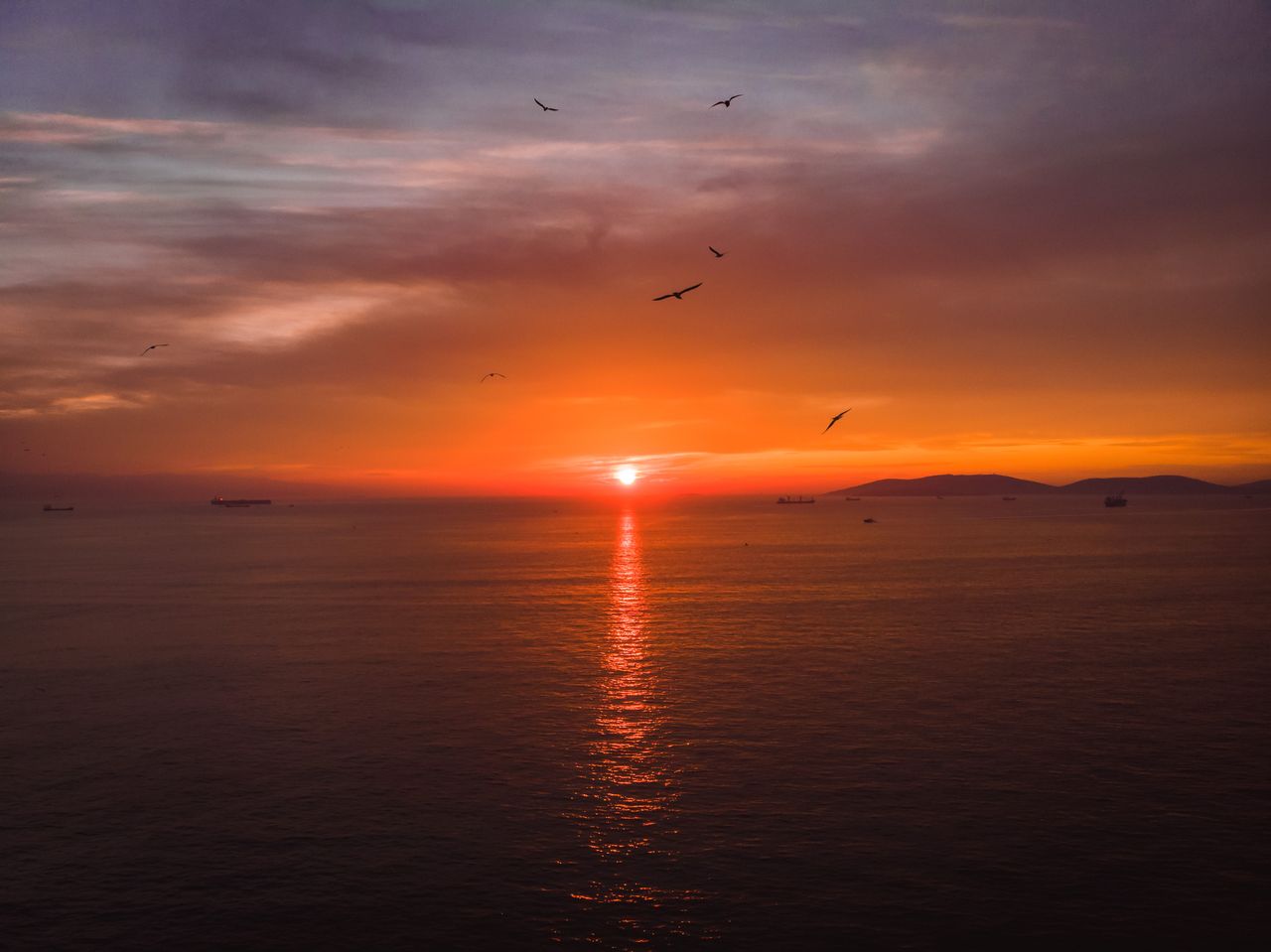 beautiful sunset over the ocean with birds flying and a vivid reflecti
