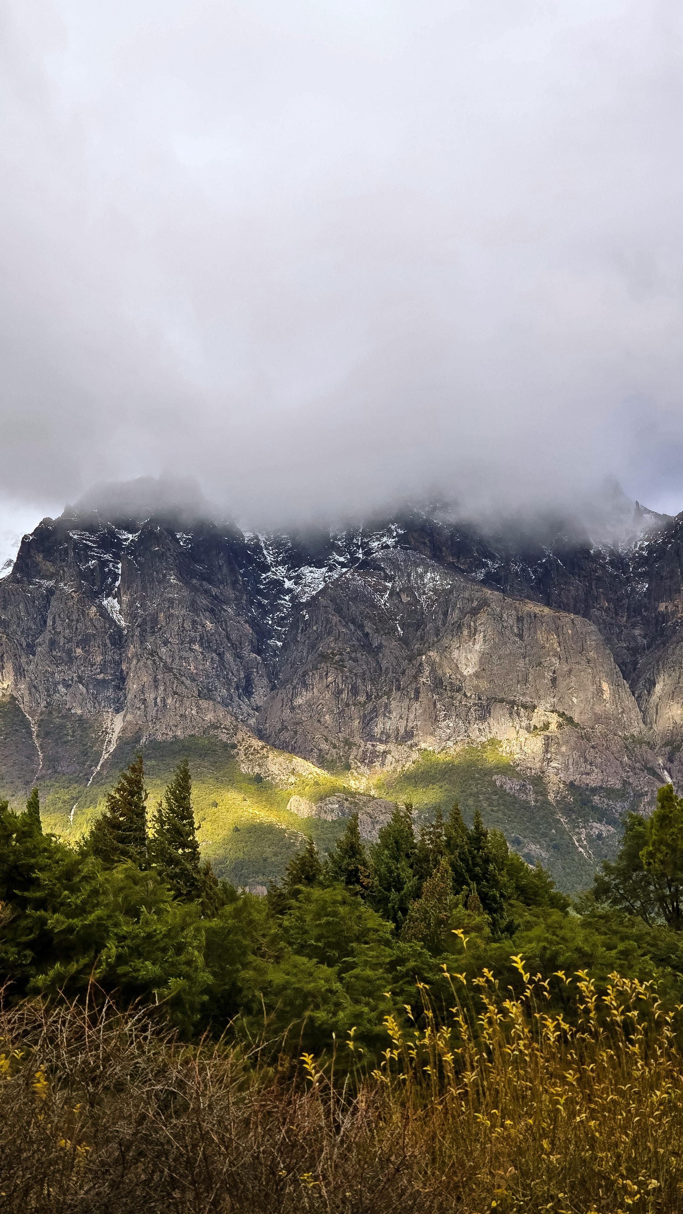 Fotomural Impresionante vista de la cima de una montaña parcialmente cubierta de nubes con una exuberante vegetación en primer plano.