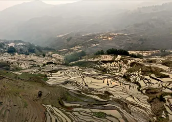 Photo Fu Shan Un / Pexels