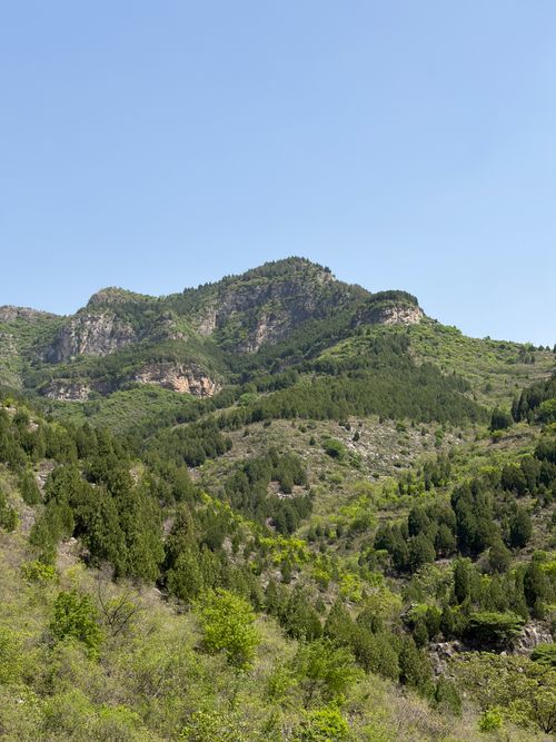 Free Lush green mountains under a clear blue sky, perfect for nature lovers. Stock Photo
