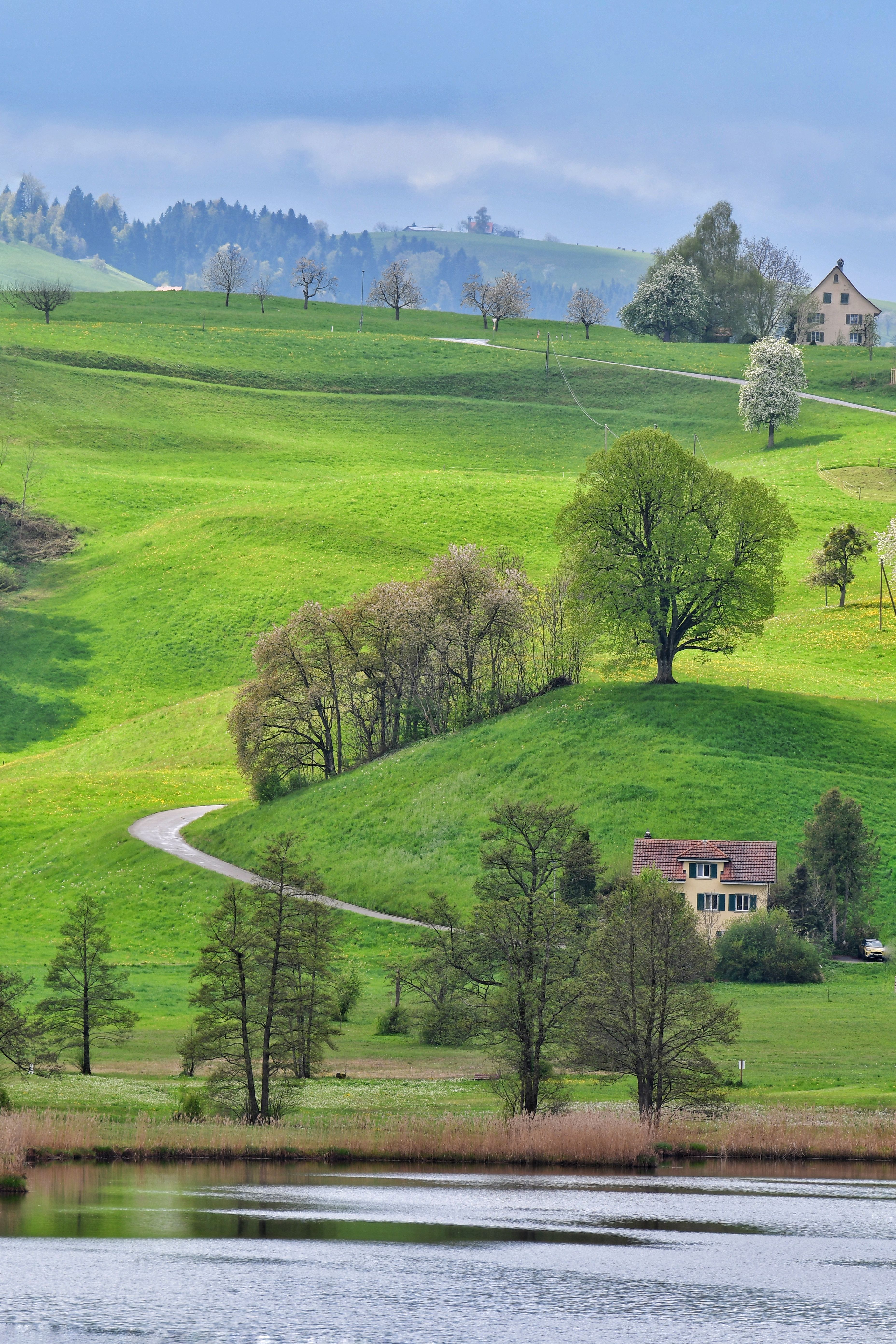 Scenic Rolling Hills and Countryside Landscape · Free Stock Photo
