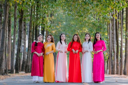Free Six women wearing vibrant Ao Dai dresses standing on a tree-lined road, embracing culture. Stock Photo