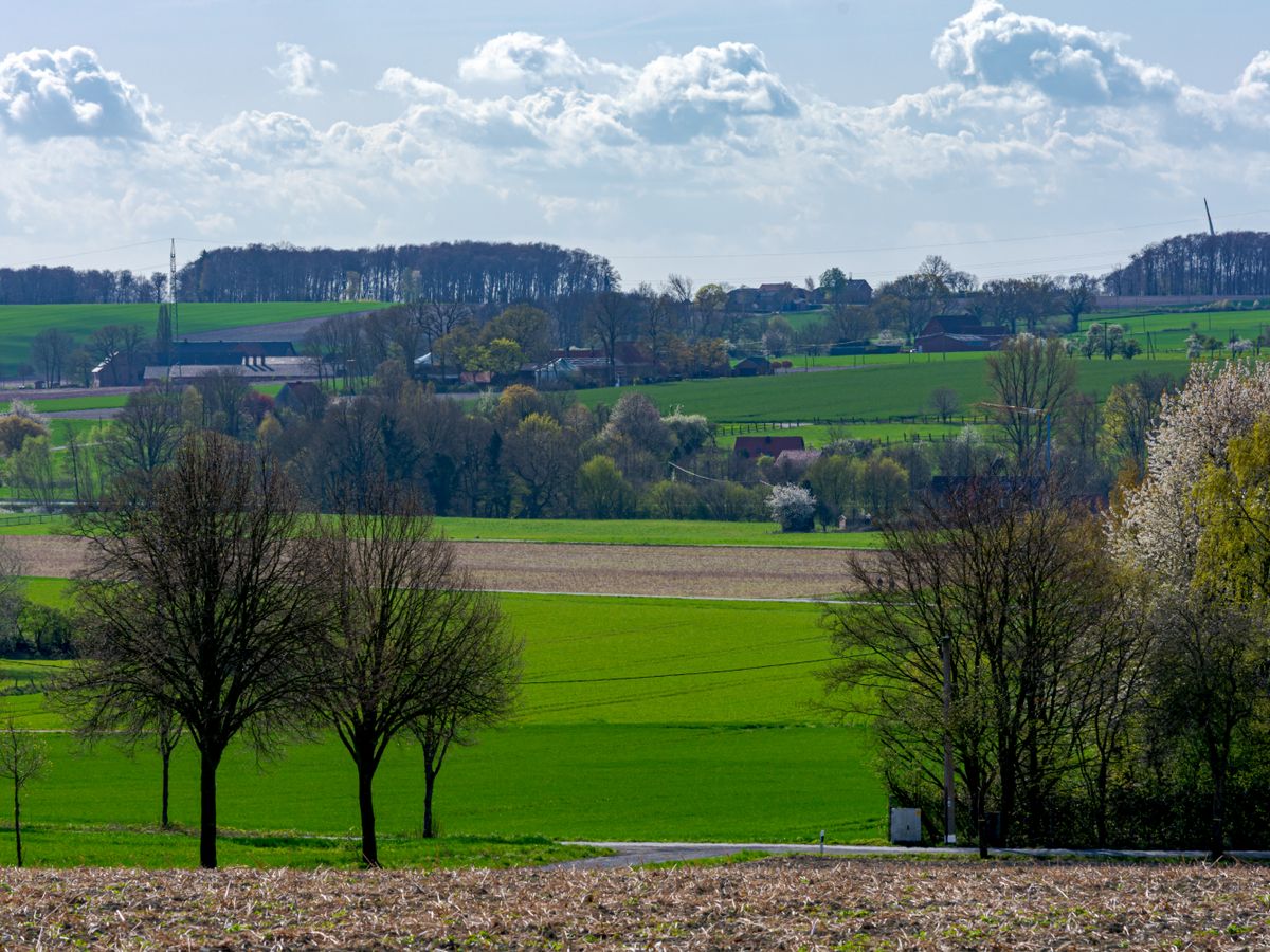 6 Day Burnout Prevention & Recovery in Nature, Germany 1