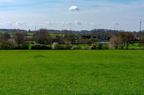 Free Lush green field with trees and wind turbines in Coesfeld, NRW, Germany. Stock Photo