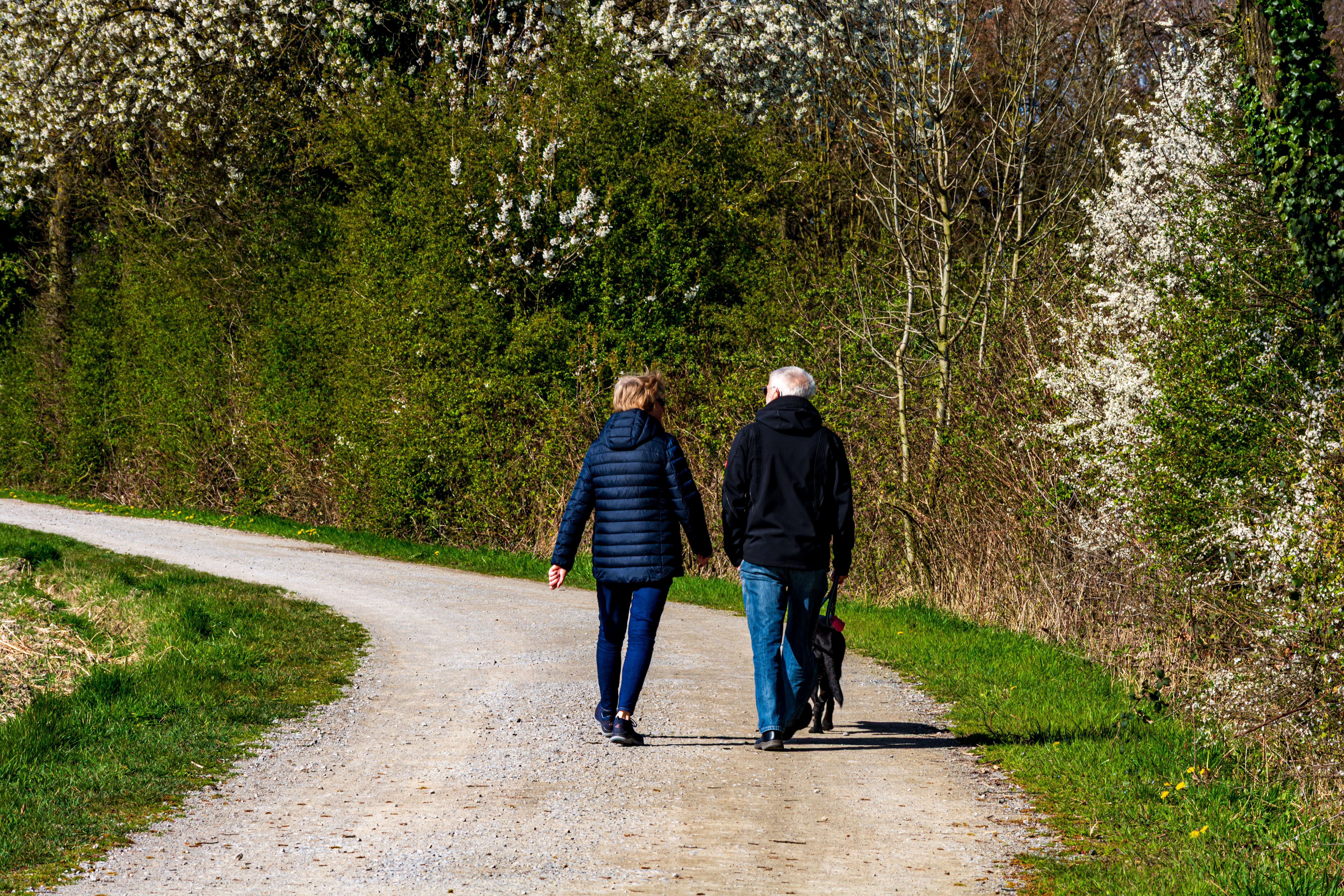 general lifestyle survey uk — Photo by Sergej  Strannik on Pexels