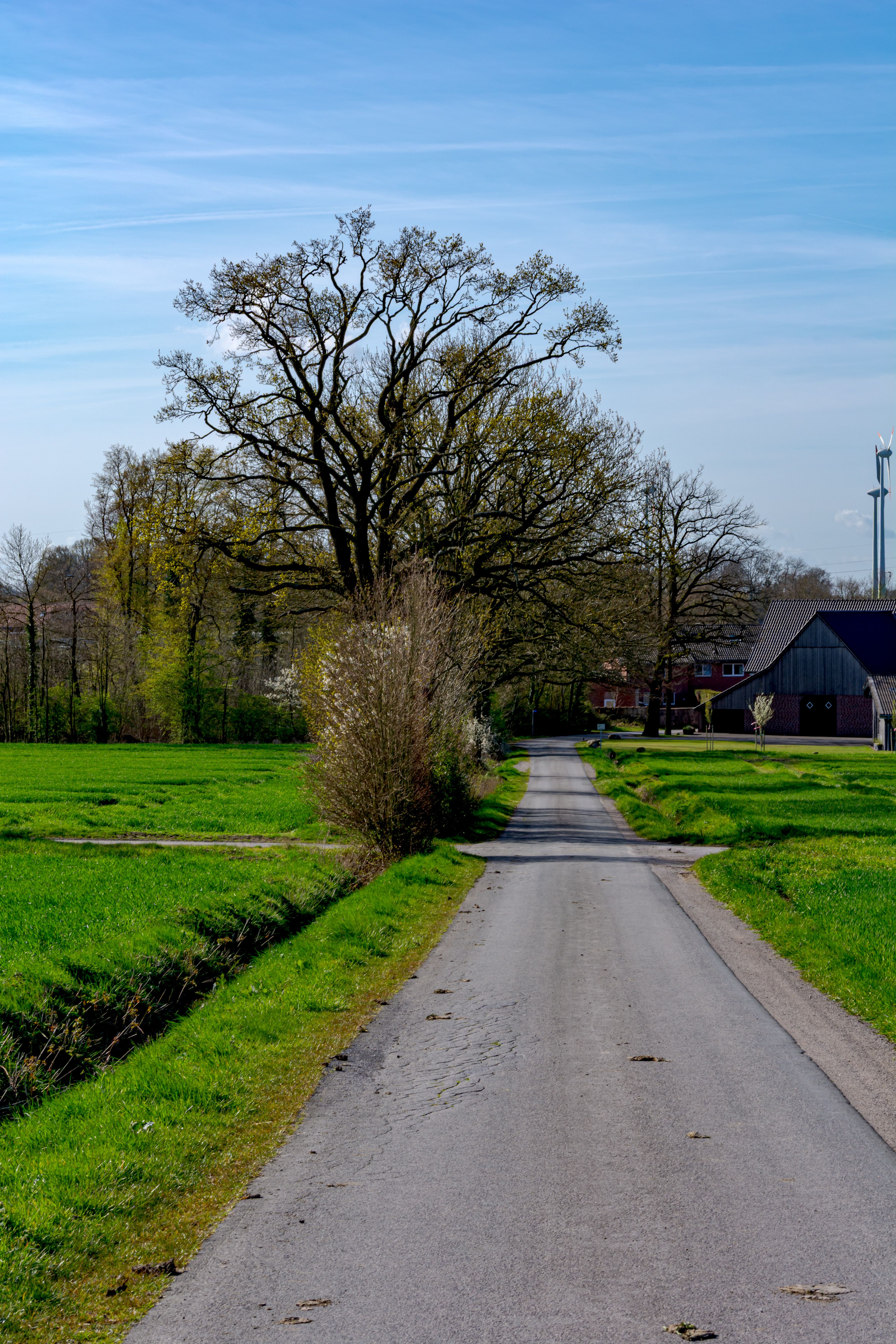 Scenic Rural Road in Springtime Coesfeld, Germany · Free Stock Photo