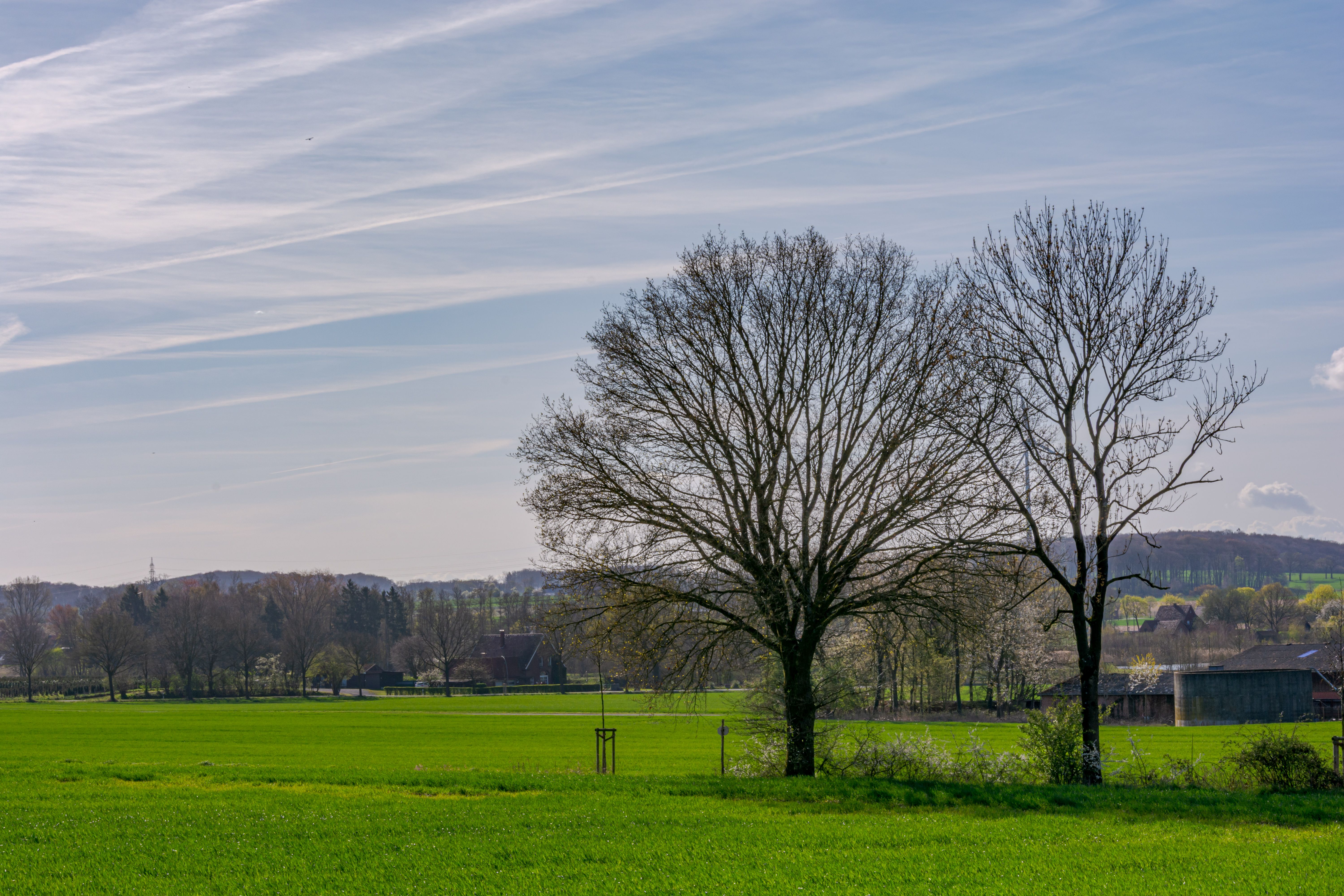 Peaceful rural scene in Coesfeld with bare trees against a blue sky.