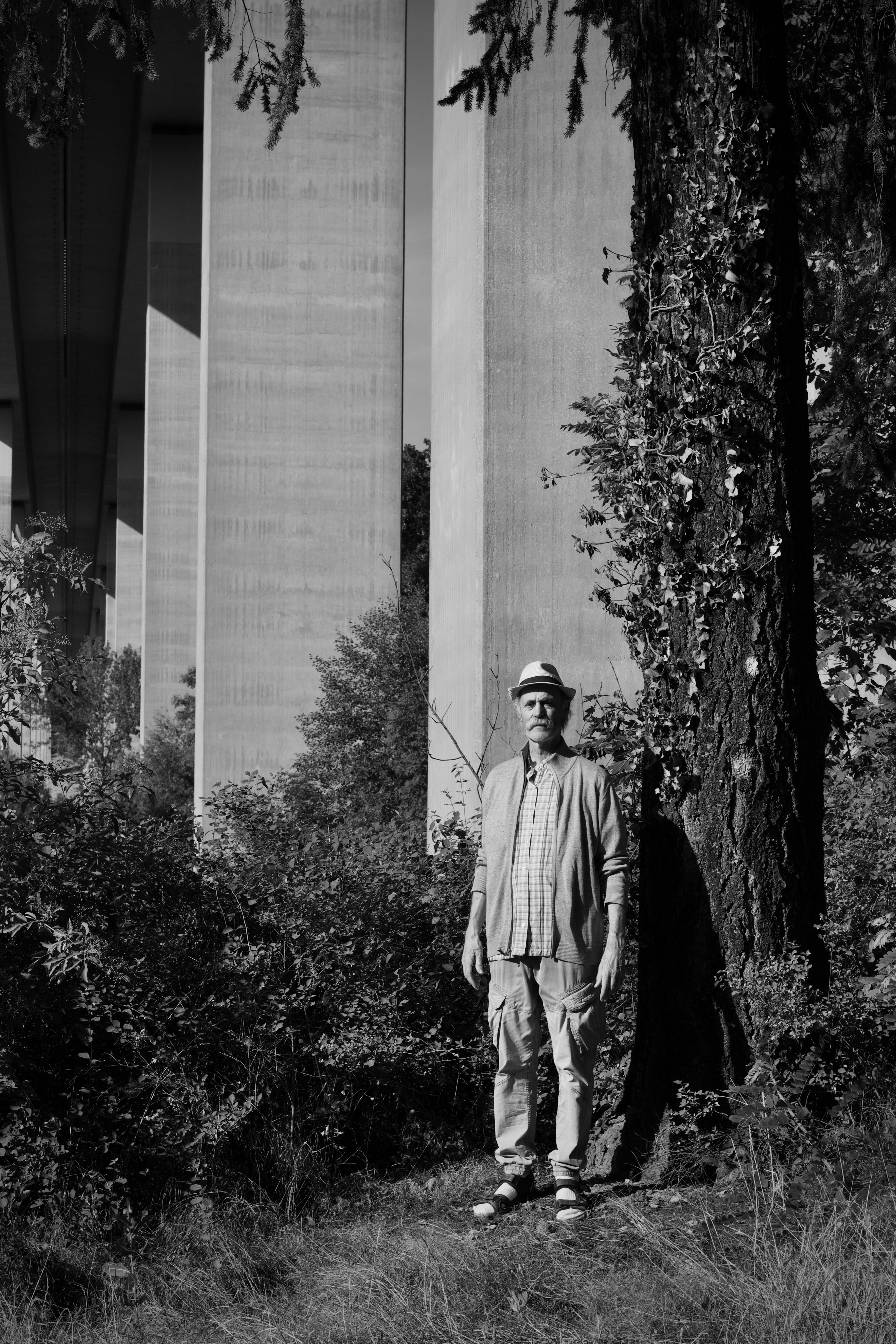 A man wearing a hat stands by a tree near large concrete pillars in an outdoor setting.