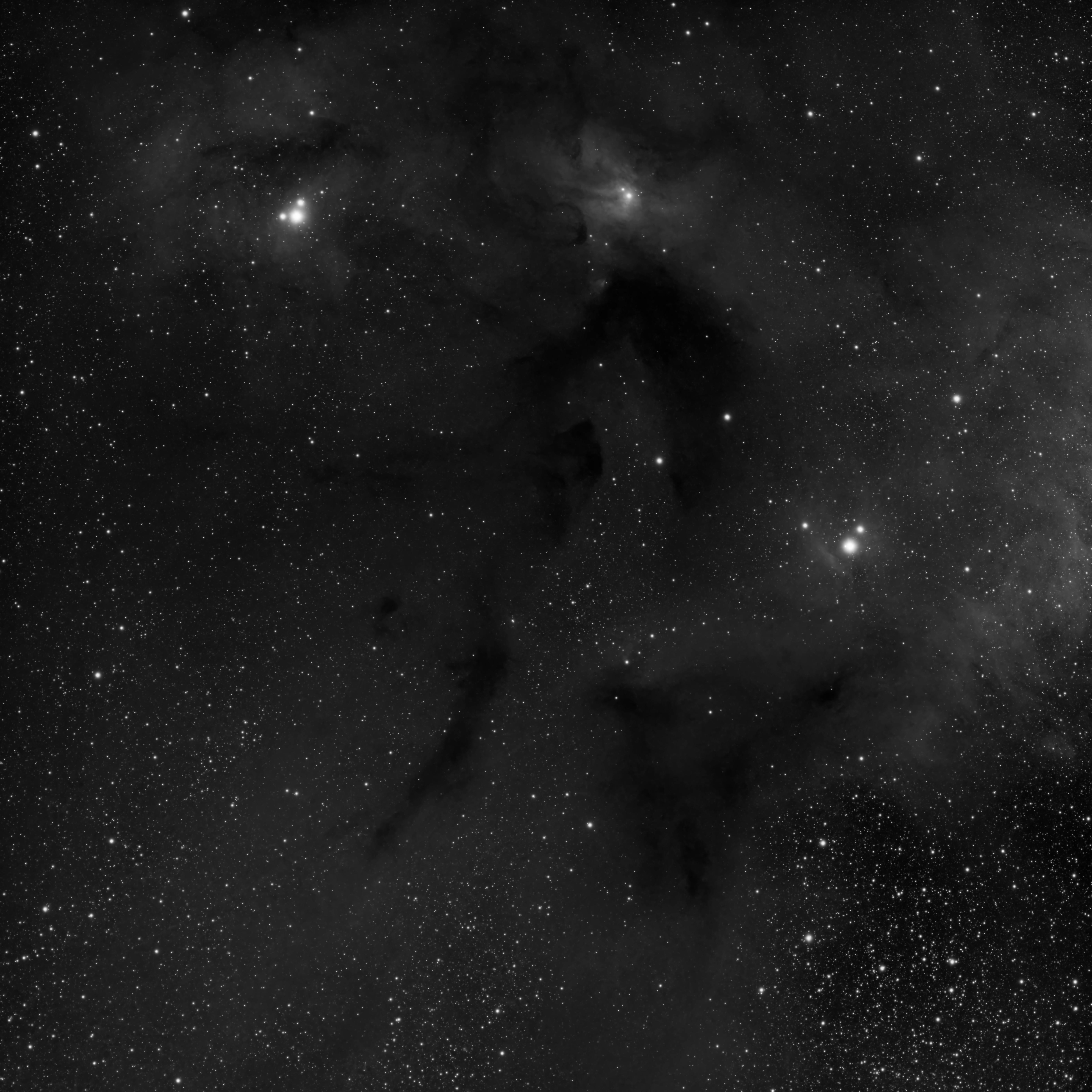 Star Trek: Strange New Worlds Season 4: Number One Leads Away Missions - IMDb — Photo by Dennis Ariel on Pexels