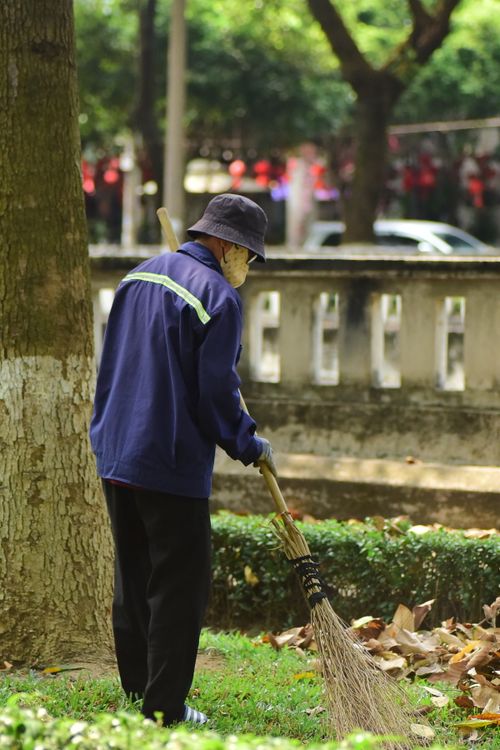 Free A dedicated gardener sweeping leaves in a sunny park, showcasing daily maintenance work. Stock Photo