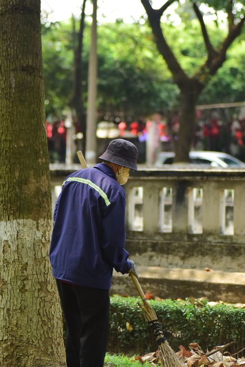 Free A street cleaner sweeping leaves in a tranquil urban park setting. Stock Photo