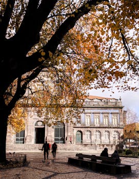 波尔图一座历史悠久的教堂风景优美，秋叶生机勃勃，人们漫步其间