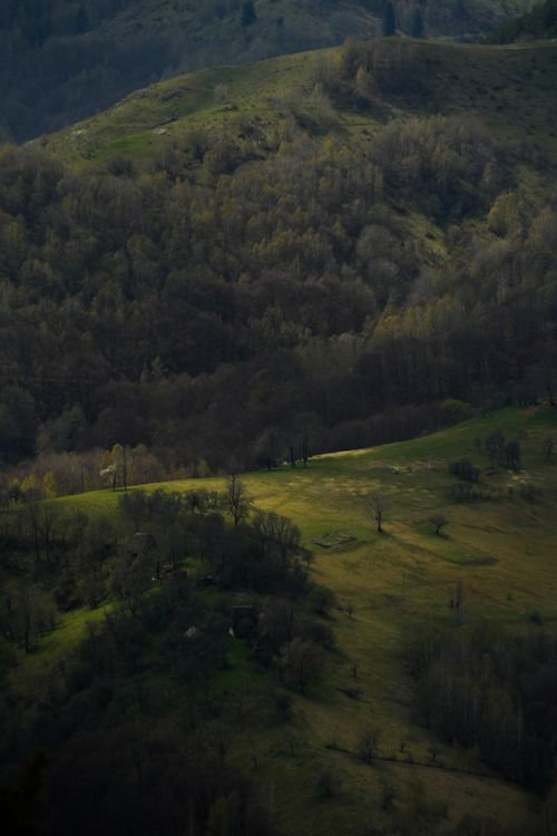 Free A tranquil mountain landscape bathed in soft sunlight, highlighting lush greenery and dense woods. Stock Photo