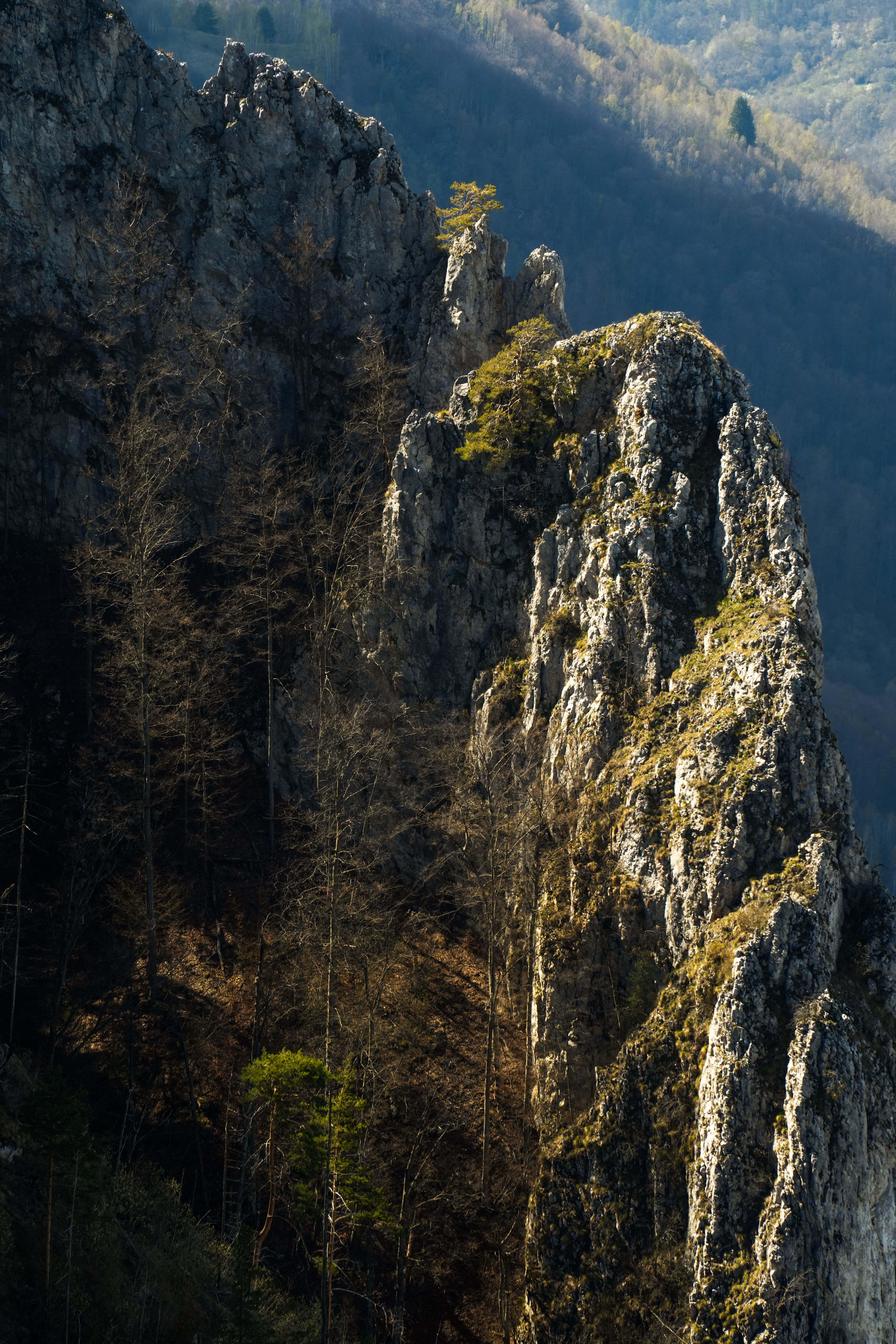 Majestic Rocky Cliffs at Sunrise · Free Stock Photo
