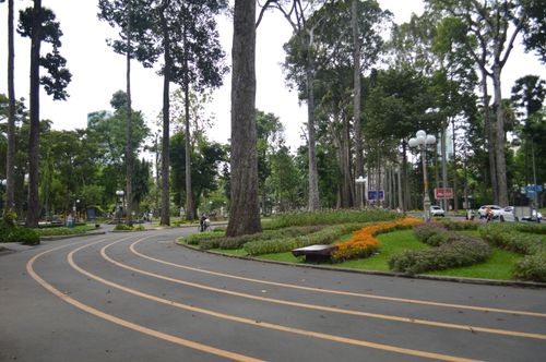 Free A peaceful urban park walkway lined with tall trees and vibrant flower beds. Stock Photo