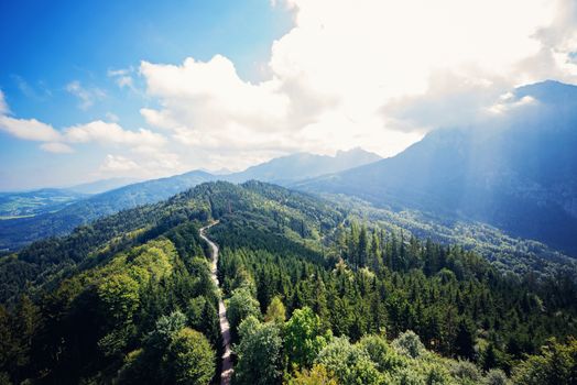 Stunning aerial view of a lush green forest with distant mountains under a bright, cloudy sky.