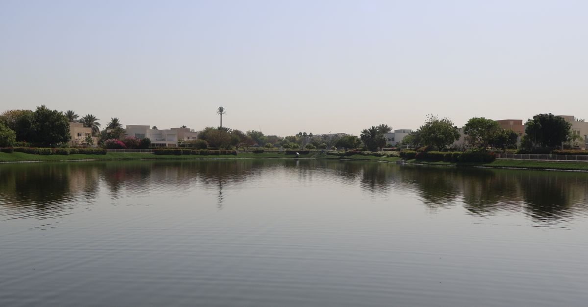 Serene view of a peaceful lake surrounded by lush greenery in Dubai's residential area.