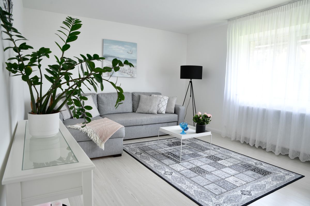 Bright Scandinavian living room