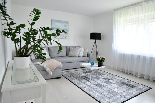 Free Bright Scandinavian-style living room with gray sofa, houseplants, and cozy decor. Stock Photo