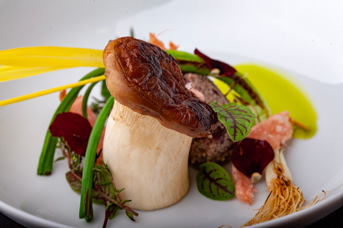 Plato gourmet de setas