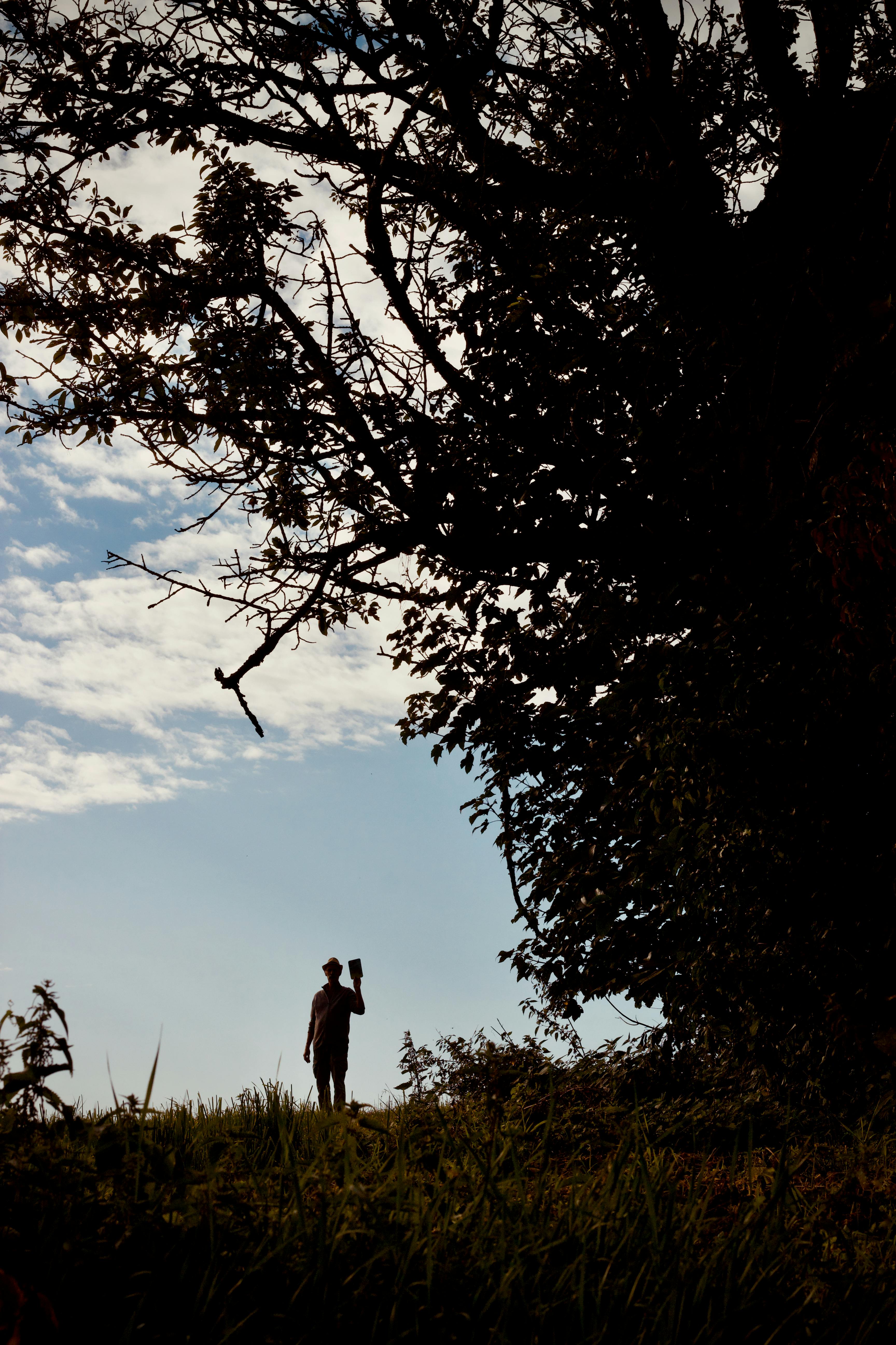 A silhouette of a person holding a camera against a natural backdrop with a large tree and blue sky.