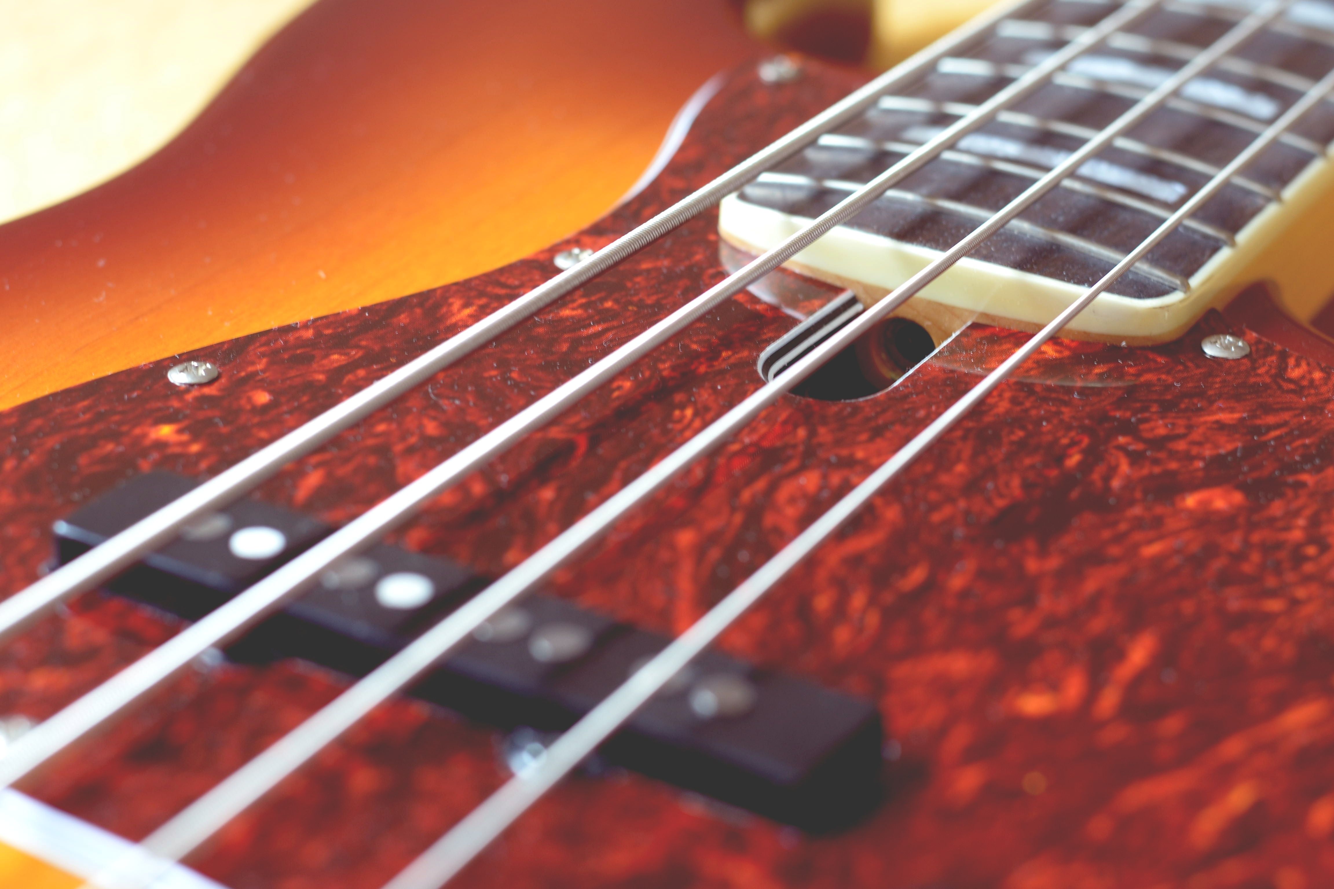 Bass Slap It By D Oppenheim
