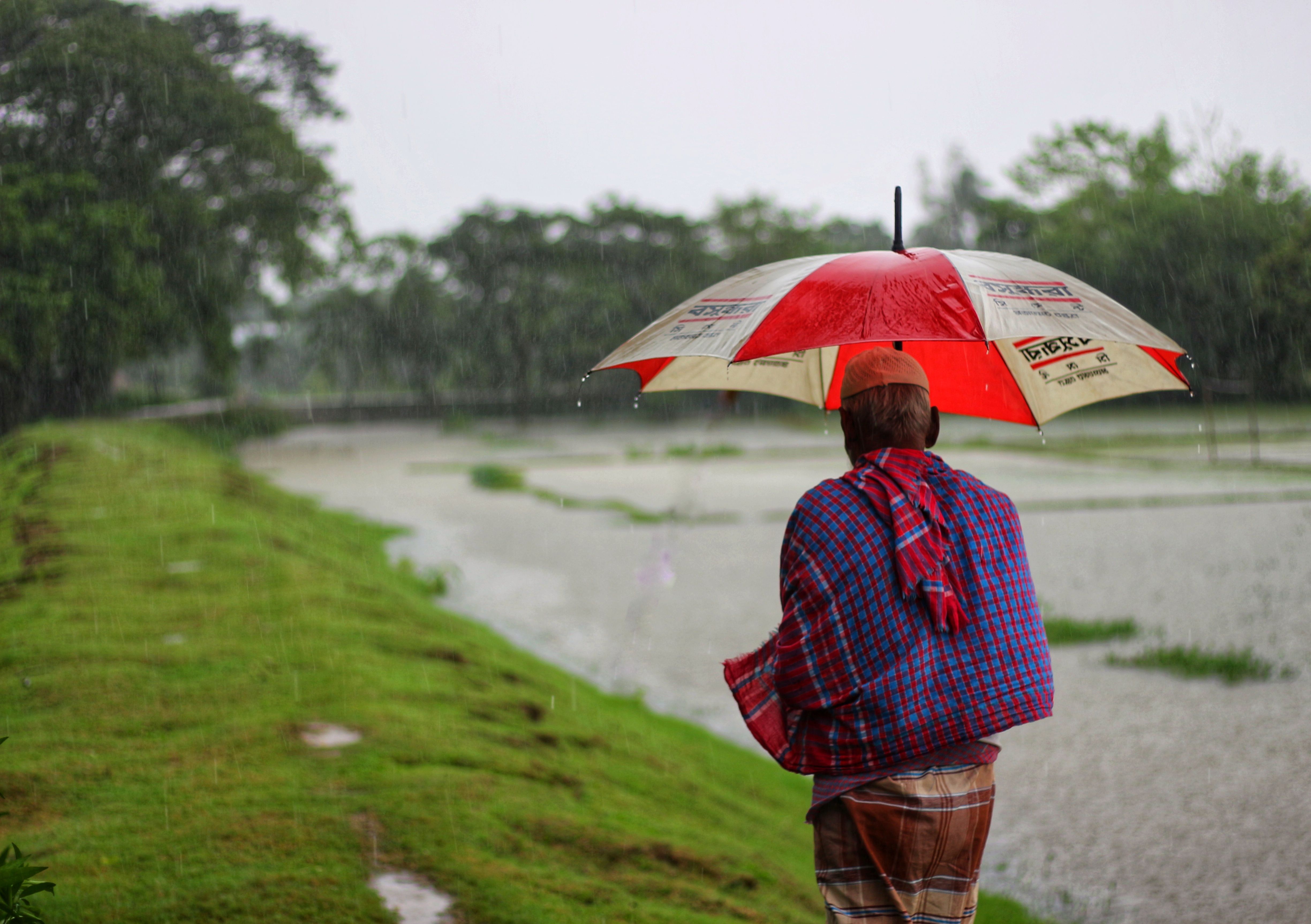 India's Economy Records 7.8% Growth Amid Global Challenges and Monsoon Concerns