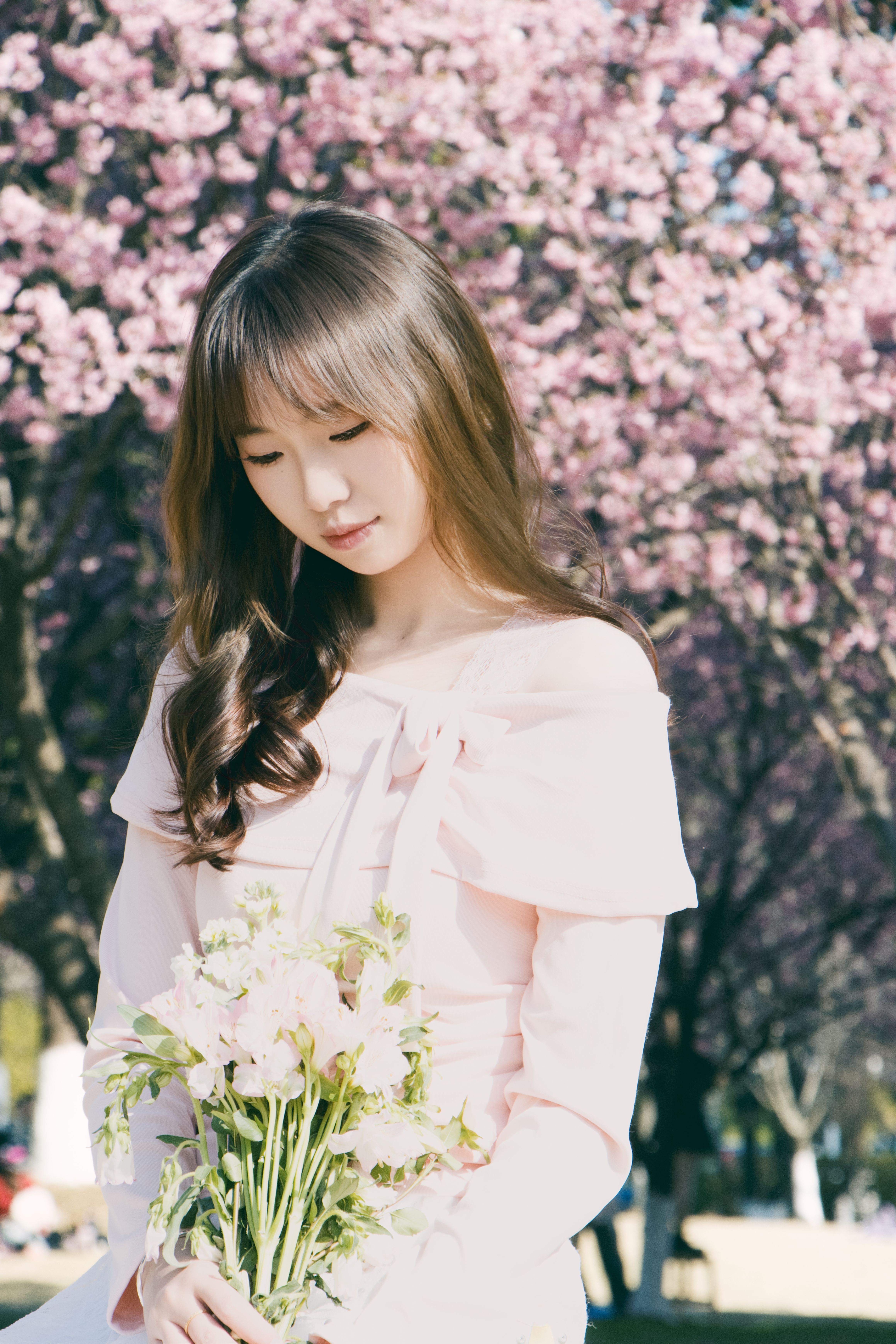 Young Woman with Flowers in Cherry Blossom Garden · Free Stock Photo